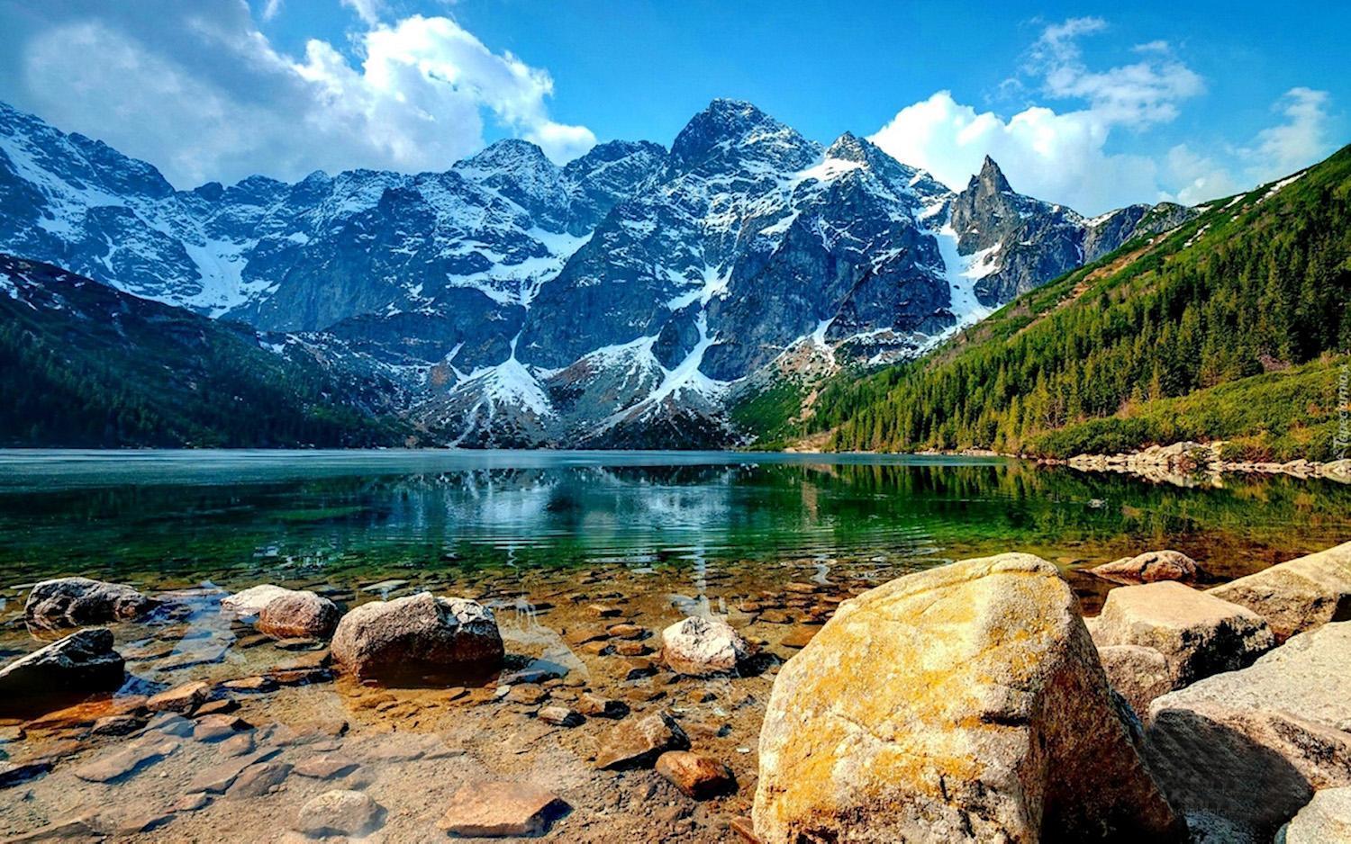 Osrodek Ski Suche & Zakopane Poronin Buitenkant foto